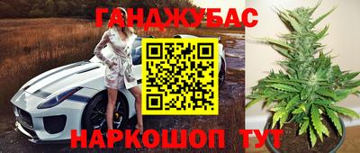 гидра Краснокаменск
