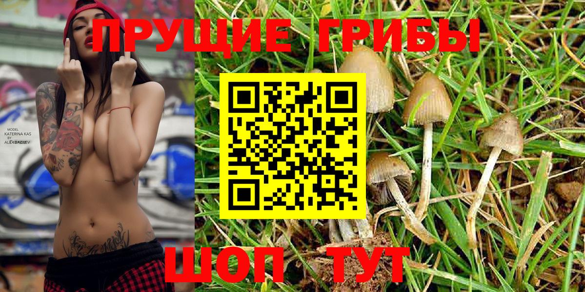 Галлюциногенные грибы Magic Shrooms  Вход с VPN  купить наркоту  Ишим  Галлюциногенные грибы Psilocybe 